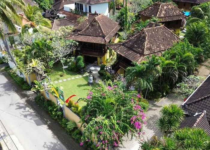 Kura Kura & Mini Golf *