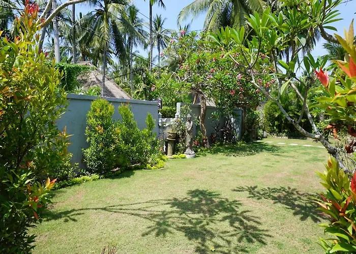 Kura Kura & Mini Golf
